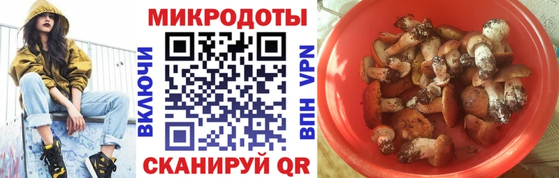 Купить закладки  Михайлов  Псилоцибиновые грибы GOLDEN TEACHER 
